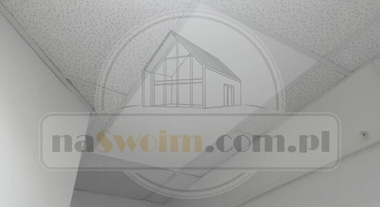 Lokal usługowy- promienniki podczerwieni